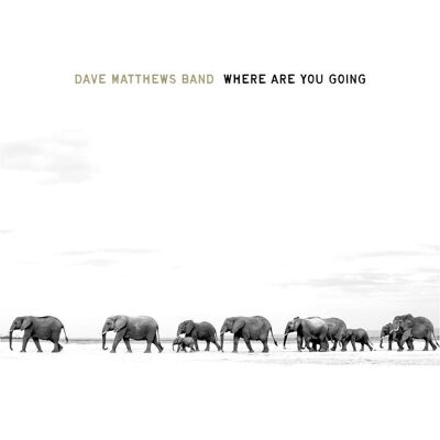 Legacy, Schallplatten, Where Are You Going: The Singles (Gate) (Ofgv) (Dave Matthews) Legacy, Schallplatten, Where Are You Going: The Singles (Gate) (Ofgv) (Dave Matthews)