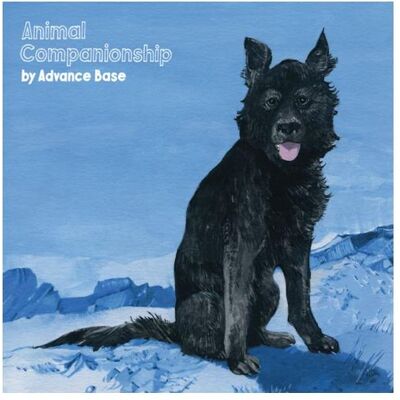 WMG Advance Base - Animal.. -Coloured-, Schallplatten WMG Advance Base - Animal.. -Coloured-, Schallplatten