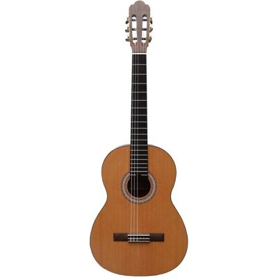 No Name Prodipe Guitars Primera 4/4 EQ - gitara elektro-klasyczna, Gitarre No Name Prodipe Guitars Primera 4/4 EQ - gitara elektro-klasyczna, Gitarre