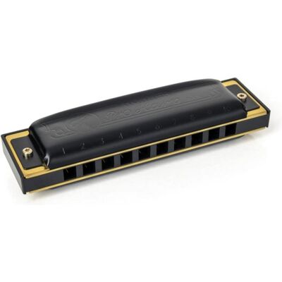Hohner Pro Harp D-Dur (Mundharmonika, Diatonisch), Blasinstrumente, Schwarz Hohner Pro Harp D-Dur (Mundharmonika, Diatonisch), Blasinstrumente, Schwarz