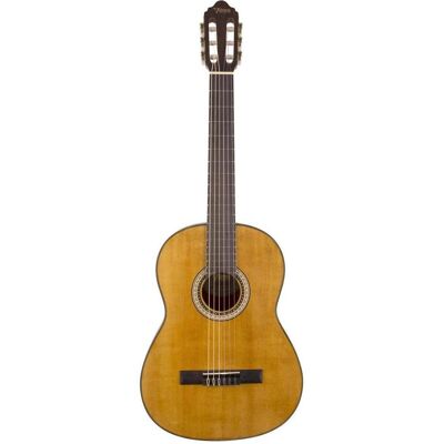 Indoba Valencia VC404NT Klassische Gitarre (Konzertgitarre, Nato, Palisander), Gitarre, Braun Indoba Valencia VC404NT Klassische Gitarre (Konzertgitarre, Nato, Palisander), Gitarre, Braun