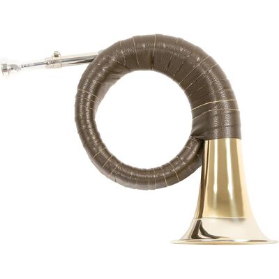 Roy Benson Prince Pless Horn (Horn, Gebogen), Blasinstrumente, Grün Roy Benson Prince Pless Horn (Horn, Gebogen), Blasinstrumente, Grün