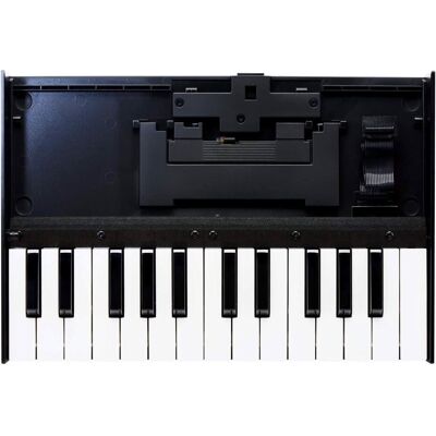 Roland K-25m, Synthesizer, Weiss, Schwarz Roland K-25m, Synthesizer, Weiss, Schwarz