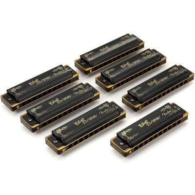 Fender Blues DeVille mondharmonicaset (Mundharmonika, Diatonisch), Blasinstrumente, Gold Fender Blues DeVille mondharmonicaset (Mundharmonika, Diatonisch), Blasinstrumente, Gold