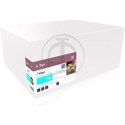 Astar, Toner, AS14895 (C) Astar, Toner, AS14895 (C)