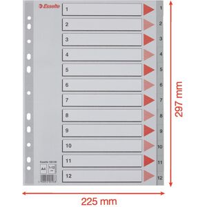 Esselte, Ordner Zubehör, Plastikregister Esselte, Ordner Zubehör, Plastikregister