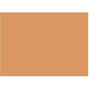 Brunnen, Karteikarten, Karteikarte DIN A6 quer blanko orange 100 St./Pack. (A6, 180 g/m²) Brunnen, Karteikarten, Karteikarte DIN A6 quer blanko orange 100 St./Pack. (A6, 180 g/m²)