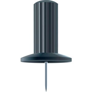 Exacompta, Büroklammer, Pinnwandnadeln Ø 10 mm, schwarz (25x) Exacompta, Büroklammer, Pinnwandnadeln Ø 10 mm, schwarz (25x)
