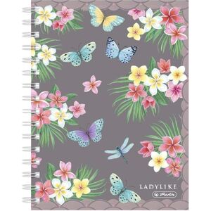 Herlitz, Heft + Block, Spiralnotizbuch A5/100K kr Ladylike BF (2 Stück) (A5, Harter Einband) Herlitz, Heft + Block, Spiralnotizbuch A5/100K kr Ladylike BF (2 Stück) (A5, Harter Einband)
