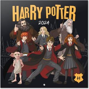 Harry Potter, Kalender, - Wandkalender 2024 (30 x 30 cm) Harry Potter, Kalender, - Wandkalender 2024 (30 x 30 cm)