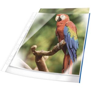 Durable, Mappe, Prospekthüllen A4 oben offen 10 Stück glasklar, blau (A4, 10x) Durable, Mappe, Prospekthüllen A4 oben offen 10 Stück glasklar, blau (A4, 10x)