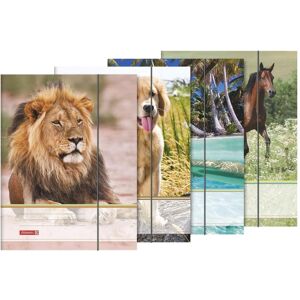 Brunnen, Mappe, Sammelmappe A4 Karton Tiere (A4, 1x) Brunnen, Mappe, Sammelmappe A4 Karton Tiere (A4, 1x)