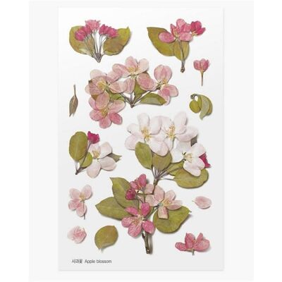 Appree, Sticker, Dekorative Blumenaufkleber - Apfelbaum Appree, Sticker, Dekorative Blumenaufkleber - Apfelbaum