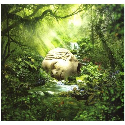Rhino SZNZ: Spring, Schallplatten Rhino SZNZ: Spring, Schallplatten