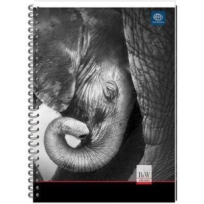 Interdruk, Heft + Block, Flower Core A5 notebook /Stationery (A5) Interdruk, Heft + Block, Flower Core A5 notebook /Stationery (A5)