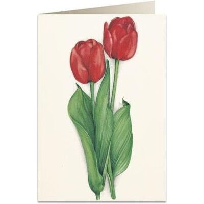 Tassotti, Grusskarte + Briefpapier, B6 Karte + Umschlag 7517 Rote Tulpen (1 Stk.) Tassotti, Grusskarte + Briefpapier, B6 Karte + Umschlag 7517 Rote Tulpen (1 Stk.)