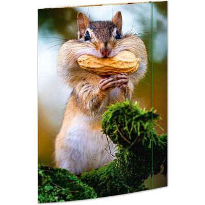 Rnk, Mappe, Gummizugmappe A3 Chipmunk (A3) Rnk, Mappe, Gummizugmappe A3 Chipmunk (A3)