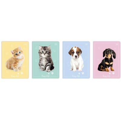 Interdruk, Heft + Block, Notizbuch A5/32K Raster UV Puppy Sign (10 Stück) (A5, Kariert) Interdruk, Heft + Block, Notizbuch A5/32K Raster UV Puppy Sign (10 Stück) (A5, Kariert)