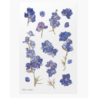 Appree, Sticker, Dekorative Blumenaufkleber - Delphinium Appree, Sticker, Dekorative Blumenaufkleber - Delphinium