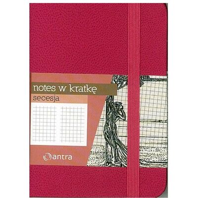 Antrax, Heft + Block, Notizbuch A7 Kariert Jugendstil Rosa ANTRA (A7, Kariert, Harter Einband) Antrax, Heft + Block, Notizbuch A7 Kariert Jugendstil Rosa ANTRA (A7, Kariert, Harter Einband)