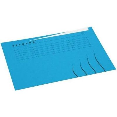 Jalema, Mappe, 3164102 (A4, 1x) Jalema, Mappe, 3164102 (A4, 1x)