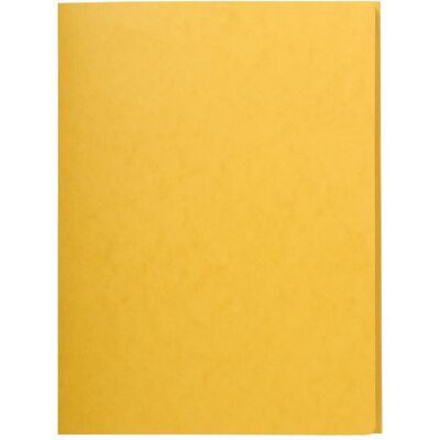 Exacompta, Mappe, Sammelmappen - Aktendeckel (A4, 1x) Exacompta, Mappe, Sammelmappen - Aktendeckel (A4, 1x)