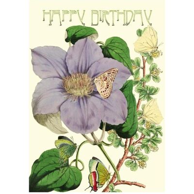 Madame Treacle, Grusskarte + Briefpapier, B6 Glitzerkarte mit Umschlag Geburtstag Clematis (1 Stk.) Madame Treacle, Grusskarte + Briefpapier, B6 Glitzerkarte mit Umschlag Geburtstag Clematis (1 Stk.)