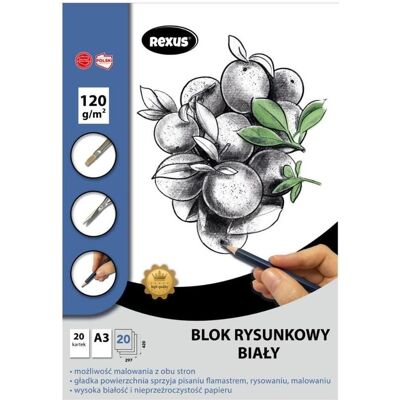 Beniamin, Heft + Block, A3/20K weisser Premium-Zeichenblock (A3, Blanko) Beniamin, Heft + Block, A3/20K weisser Premium-Zeichenblock (A3, Blanko)