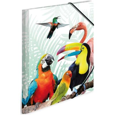 Herma Mappe, 3 Sammelmappen DIN A4 Papageien (A4, 3x) Herma Mappe, 3 Sammelmappen DIN A4 Papageien (A4, 3x)