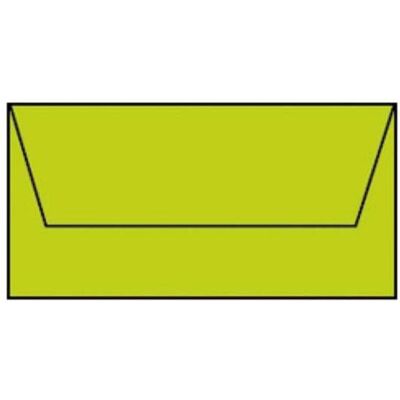 Magni, Briefumschlag, Briefumschläge Coloretti DL 5er hellgrün (220 x 110 mm, 5x) Magni, Briefumschlag, Briefumschläge Coloretti DL 5er hellgrün (220 x 110 mm, 5x)