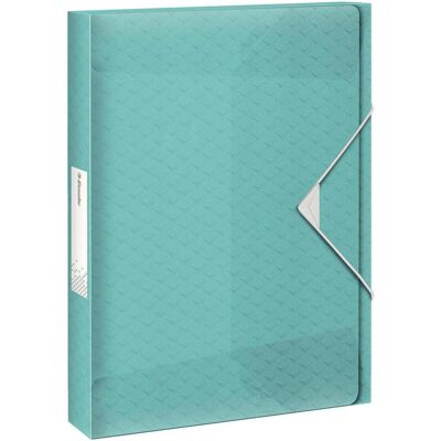 Esselte, Mappe, Ablagebox (A4, 1x) Esselte, Mappe, Ablagebox (A4, 1x)