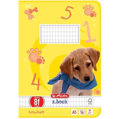 Herlitz, Heft + Block, Schulheft x.book, DIN A5, Lineatur 8f / rautiert (A5, Kariert) Herlitz, Heft + Block, Schulheft x.book, DIN A5, Lineatur 8f / rautiert (A5, Kariert)
