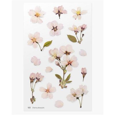 Appree, Sticker, Dekorative Blumenaufkleber - Kirsche Appree, Sticker, Dekorative Blumenaufkleber - Kirsche