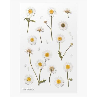 Appree, Sticker, Dekorative Blumenaufkleber - Margaretki Appree, Sticker, Dekorative Blumenaufkleber - Margaretki