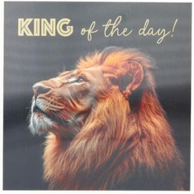 Magni, Grusskarte + Briefpapier, DEPESCHE 3D Klappkarte Motiv 17 Musik Magni, Grusskarte + Briefpapier, DEPESCHE 3D Klappkarte Motiv 17 Musik