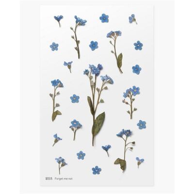 Appree, Sticker, Dekorative Blumenaufkleber - Vergissmeinnicht Appree, Sticker, Dekorative Blumenaufkleber - Vergissmeinnicht