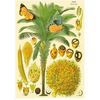 Madame Treacle, Grusskarte + Briefpapier, B6-Glitzerkarte mit Natura 5-Umschlag Madame Treacle, Grusskarte + Briefpapier, B6-Glitzerkarte mit Natura 5-Umschlag