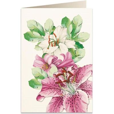 Tassotti, Grusskarte + Briefpapier, B6 Karte + Umschlag 5931 Lilien (1 Stk.) Tassotti, Grusskarte + Briefpapier, B6 Karte + Umschlag 5931 Lilien (1 Stk.)