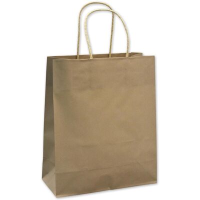 Elco, Geschenkverpackung, Tragetasche platin 220x100x270mm (25x) Elco, Geschenkverpackung, Tragetasche platin 220x100x270mm (25x)