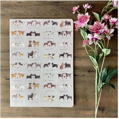 Teka, Heft + Block, Notizbuch B5/40K Linie SNL01 Süsse Hundepaare (B5, Liniert, Weicher Einband) Teka, Heft + Block, Notizbuch B5/40K Linie SNL01 Süsse Hundepaare (B5, Liniert, Weicher Einband)