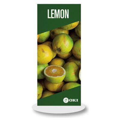 Oki Prospektständer, 09006043 Reklametafelhalter Kunststoff (A4) Oki Prospektständer, 09006043 Reklametafelhalter Kunststoff (A4)