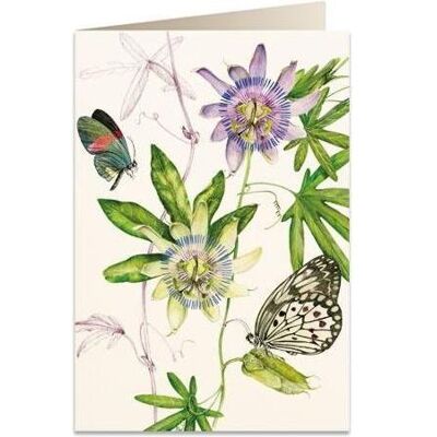 Tassotti, Grusskarte + Briefpapier, B6 Karte + Umschlag 6089 Passiflora (1 Stk.) Tassotti, Grusskarte + Briefpapier, B6 Karte + Umschlag 6089 Passiflora (1 Stk.)