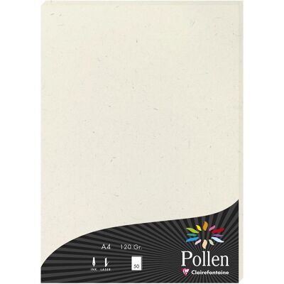 Clairefontaine, Kopierpapier, Papier (A4, 120 Blätter, 120 g/m²) Clairefontaine, Kopierpapier, Papier (A4, 120 Blätter, 120 g/m²)