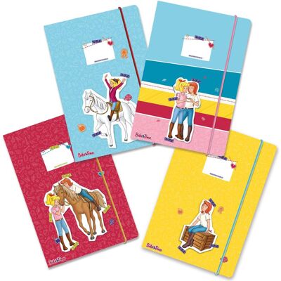 Papierdrachen, Mappe, 4 Sammelmappen - DIN A4 - Bibi und Tina (A4, 4x) Papierdrachen, Mappe, 4 Sammelmappen - DIN A4 - Bibi und Tina (A4, 4x)