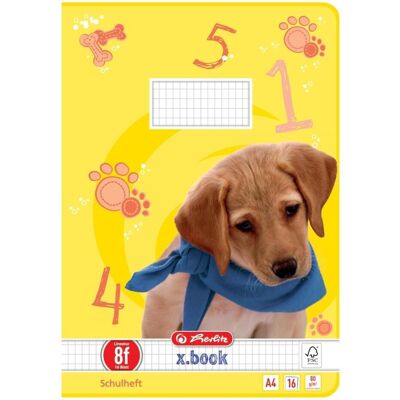 Herlitz, Heft + Block, Schulheft x.book, DIN A4, Lineatur 8f / rautiert (A4, Kariert, Harter Einband) Herlitz, Heft + Block, Schulheft x.book, DIN A4, Lineatur 8f / rautiert (A4, Kariert, Harter Einband)
