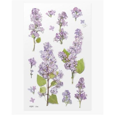 Appree, Sticker, Dekorative Blumenaufkleber - Ohne Appree, Sticker, Dekorative Blumenaufkleber - Ohne
