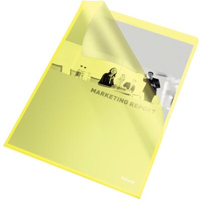 Leitz, Mappe, Esselte (A4, 100x) Leitz, Mappe, Esselte (A4, 100x)