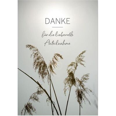 Komma³, Grusskarte + Briefpapier, Karte Trauer Danksagung Gräser 5 Karten und Umschläge (1 Stk.) Komma³, Grusskarte + Briefpapier, Karte Trauer Danksagung Gräser 5 Karten und Umschläge (1 Stk.)