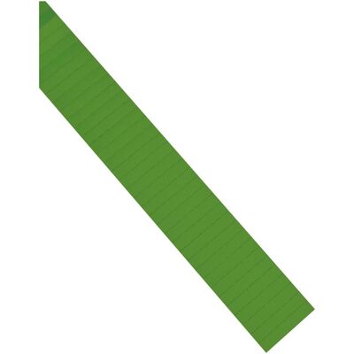 Magnetoplan, Zubehör Präsentieren, ferrocard-Etiketten grün Magnetoplan, Zubehör Präsentieren, ferrocard-Etiketten grün