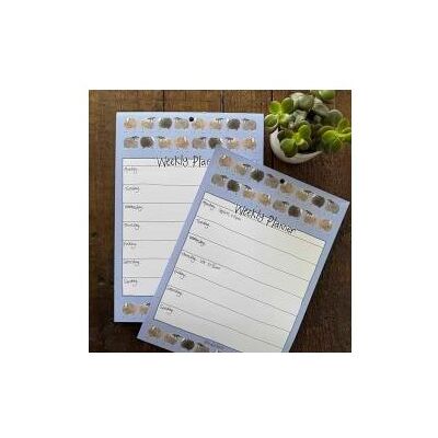 Alex Clark Art, Agenda, Wochenplaner A4/60K Schafe (A4, 1 Woche / 1 Seite) Alex Clark Art, Agenda, Wochenplaner A4/60K Schafe (A4, 1 Woche / 1 Seite)
